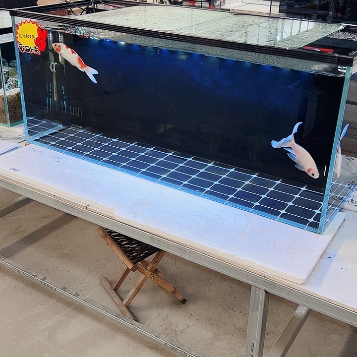 花***缺玻璃1205050背双马增三