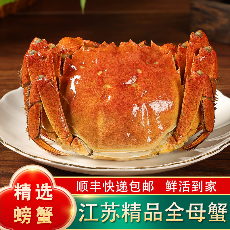 【江苏活蟹】全母大闸蟹淡水精挑蟹【5.3-5.0两】 6/8/10只顺丰包邮X