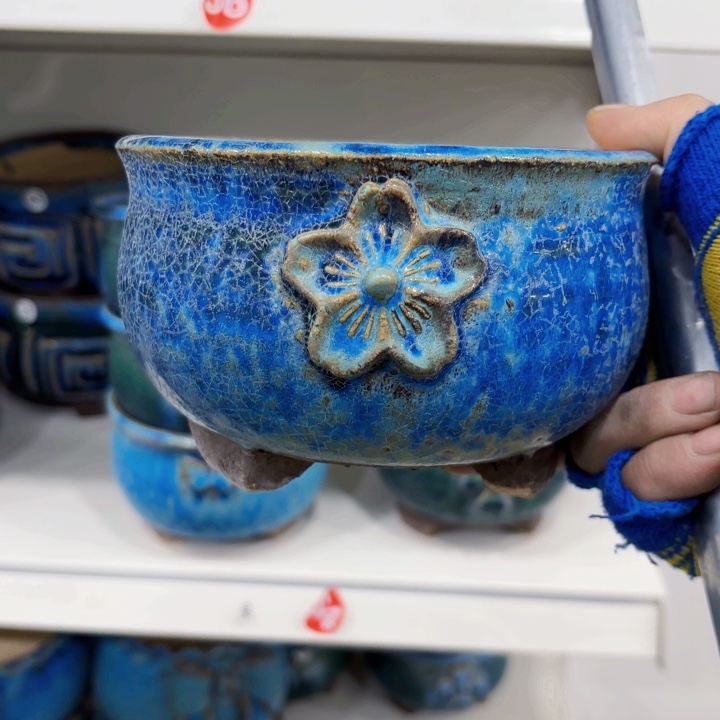 芭*内口长而厚等处长