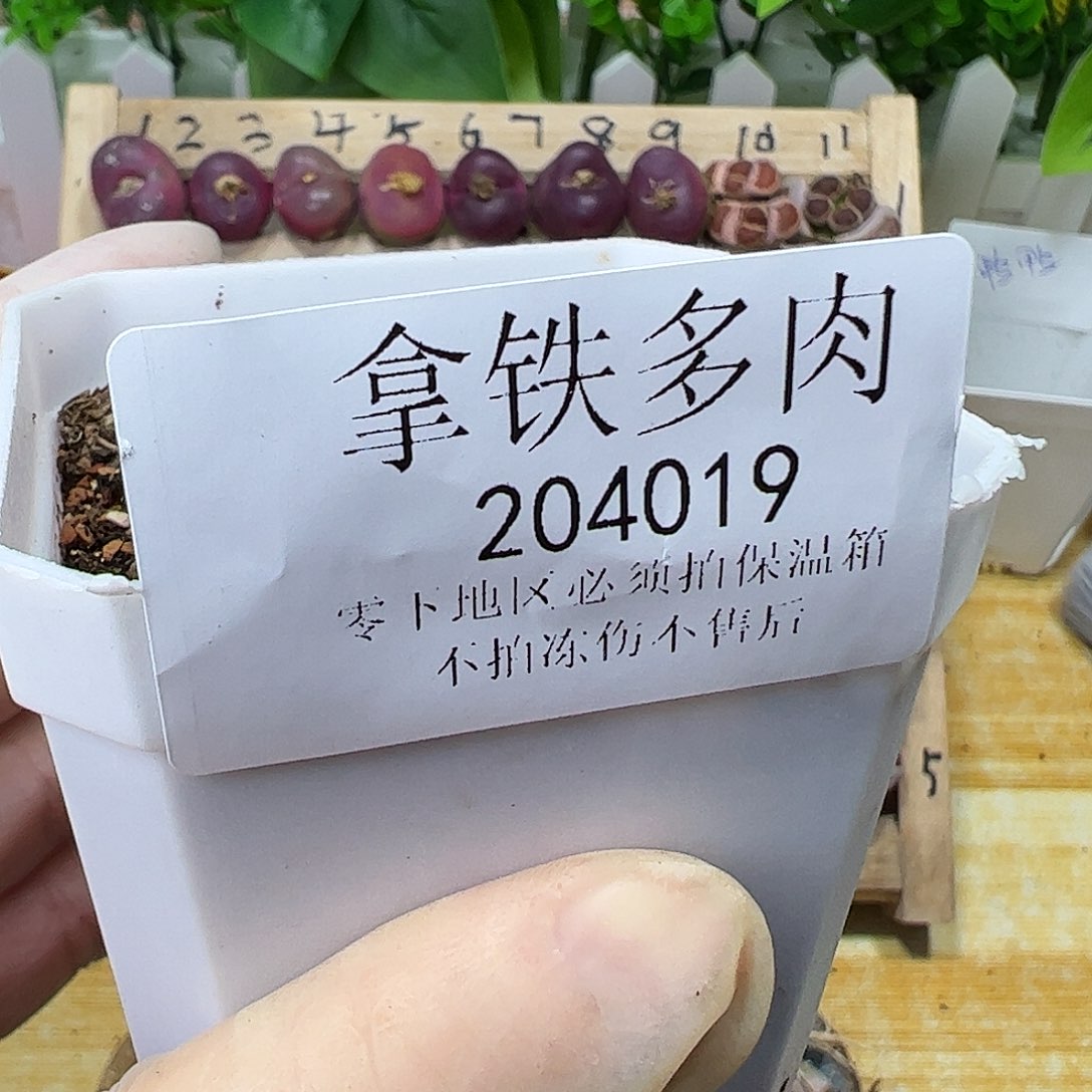 好**来204019/恭喜发财…………………