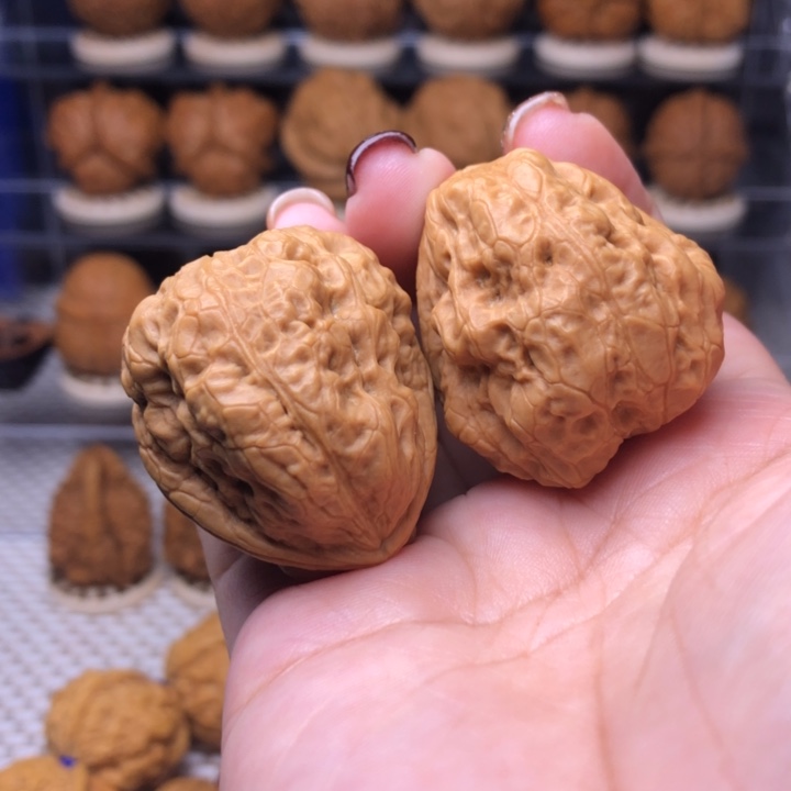 文玩核桃把件11号箭毒蛙36尺