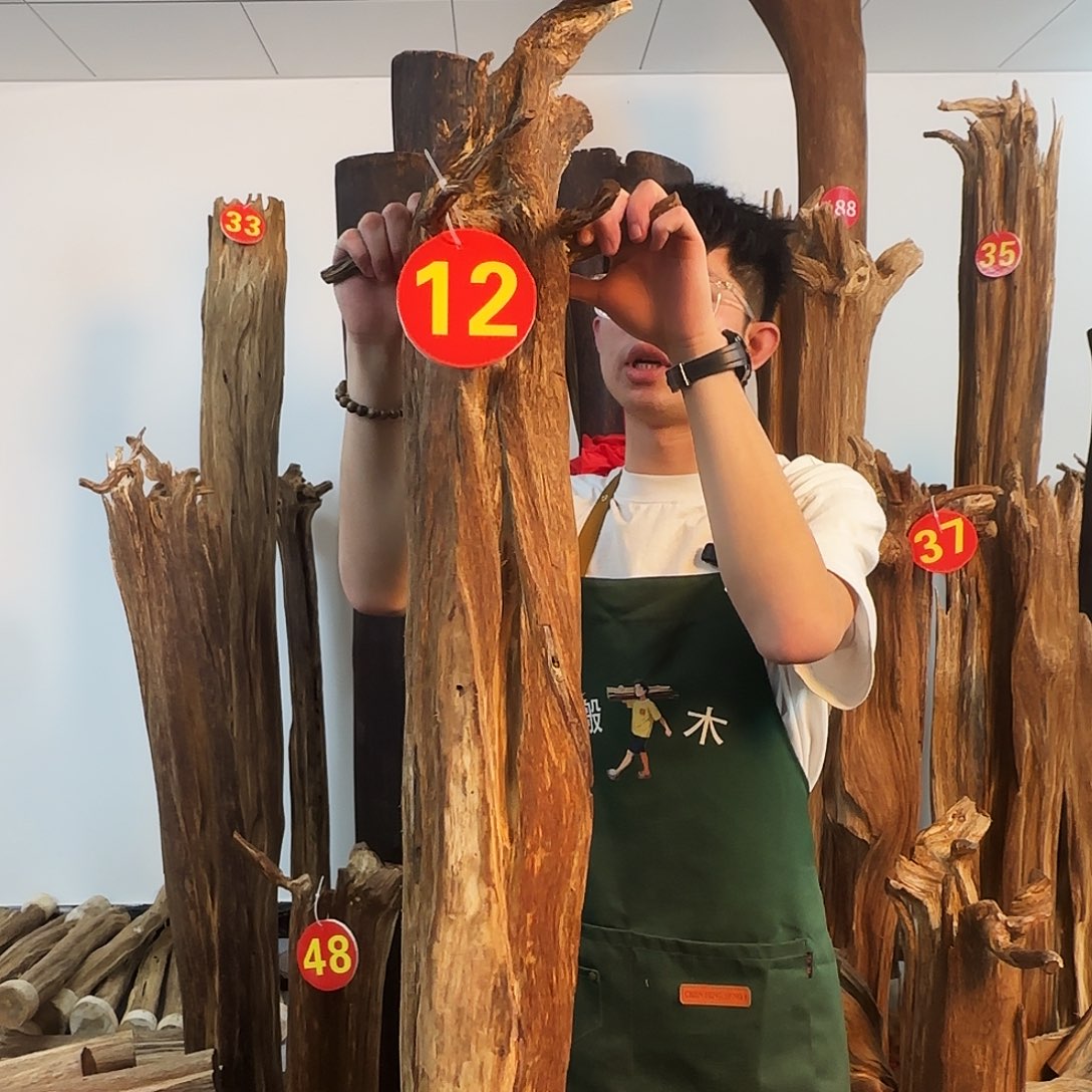 沉香摆件沉香天然原木摆件➕底座