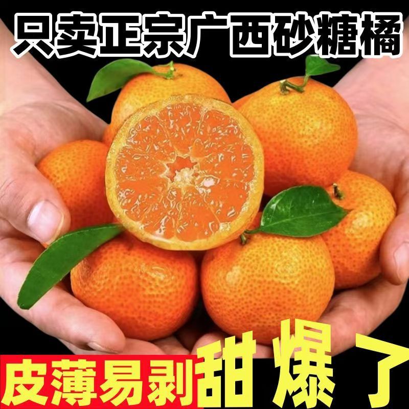 京东包邮现摘正宗广西砂糖橘当季新鲜水果沙糖桔子超甜朋友薄皮