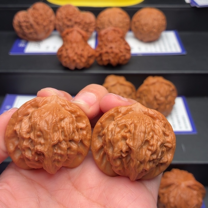 核桃6号 全品38尺大耳朵图图