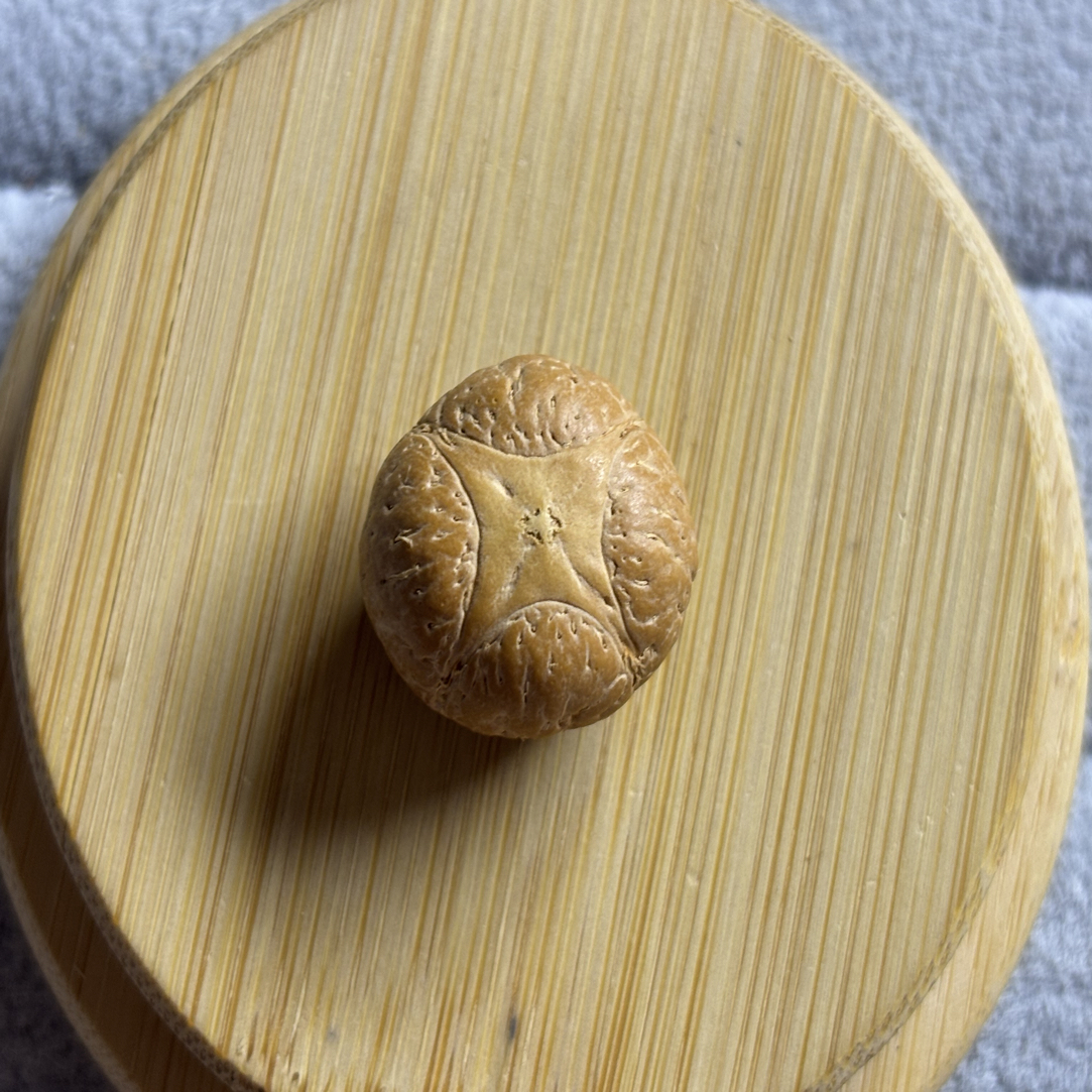 尼泊尔四星麒麟眼21mm尺寸厚度16