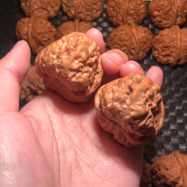 文玩核桃把件超大腿，鱼籽纹40