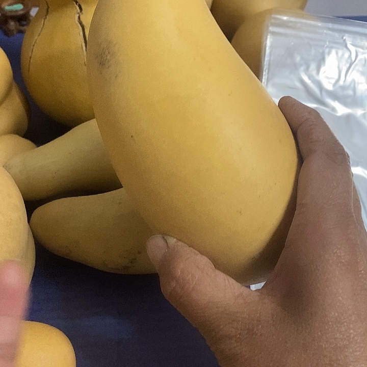 卷***菜葫芦手把件摆件葫芦