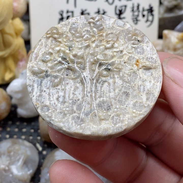 颈饰未镶嵌硅化珊瑚（珊瑚玉）有瑕