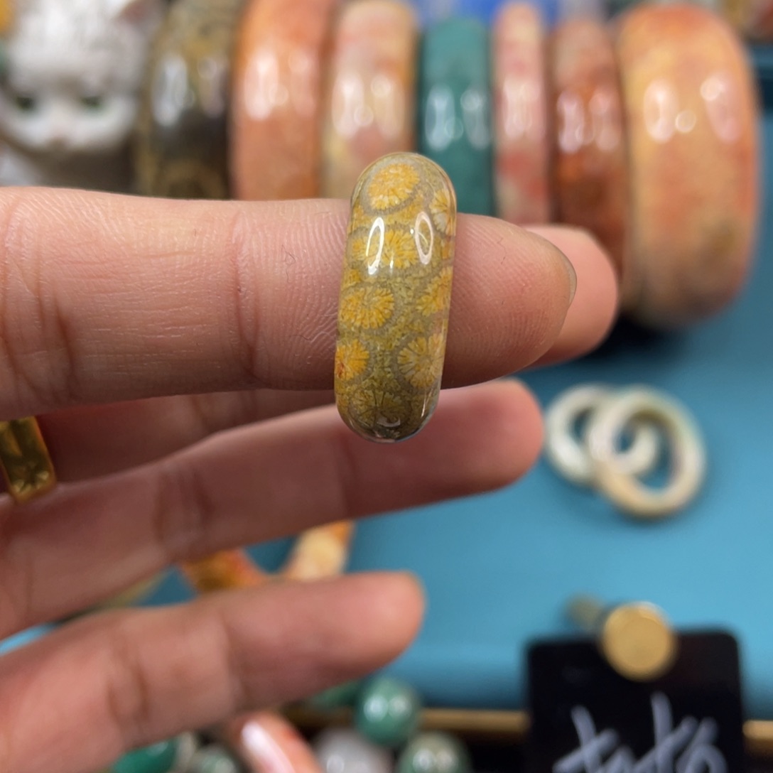 未镶嵌手镯硅化玉