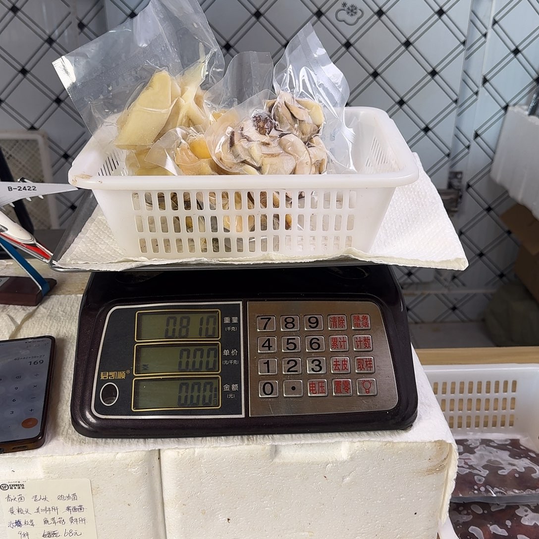 菌子中国大陆菌子