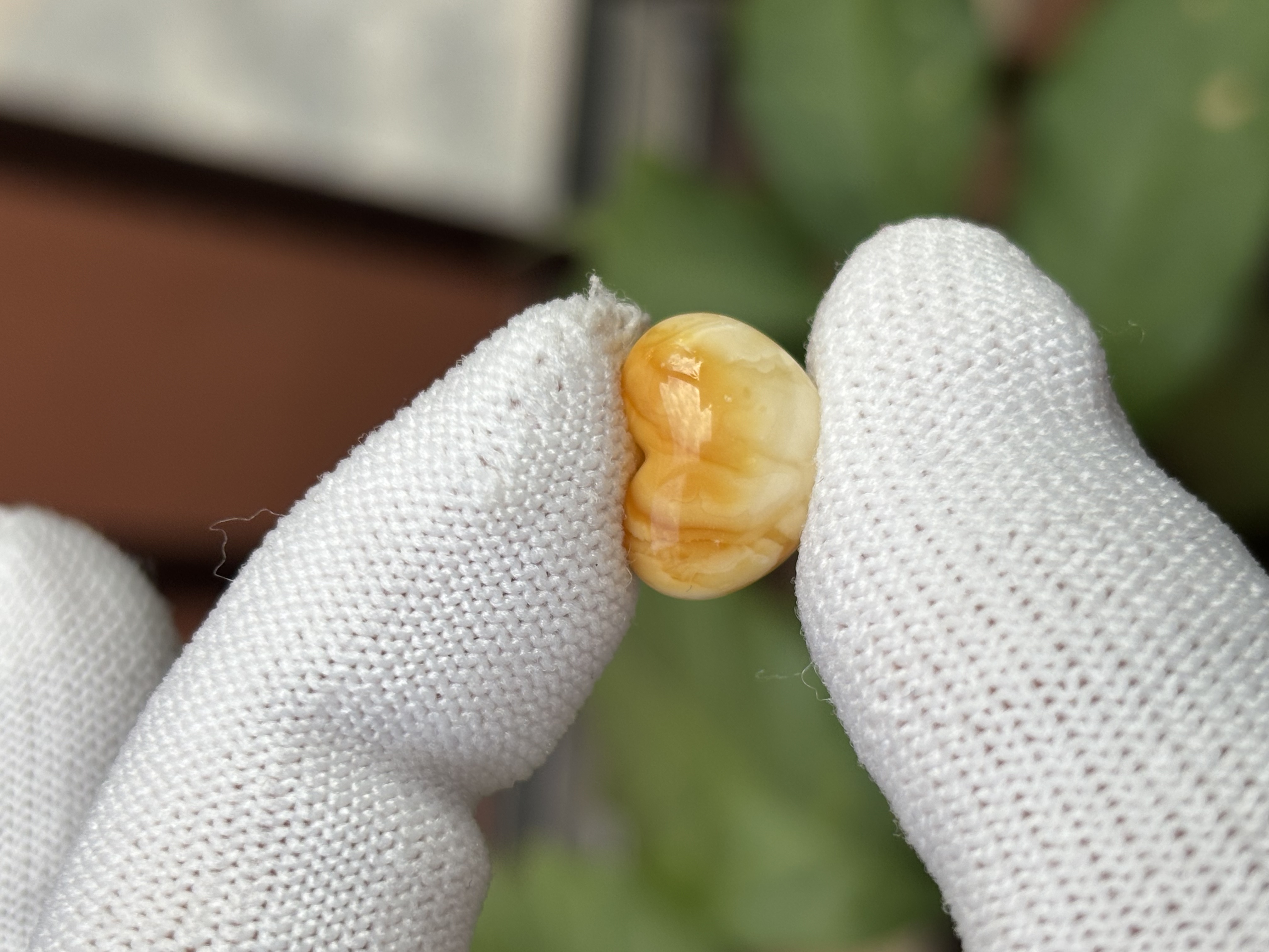 5034天然蜜蜡琥珀屁桃14.5x11.3x8.7mm