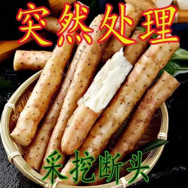 【处理断节！】温县垆土铁棍怀山药新鲜香甜口感粉糯产地直发