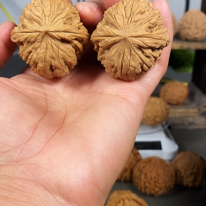 文玩核桃把件红皮鸡心40尺骨质超好