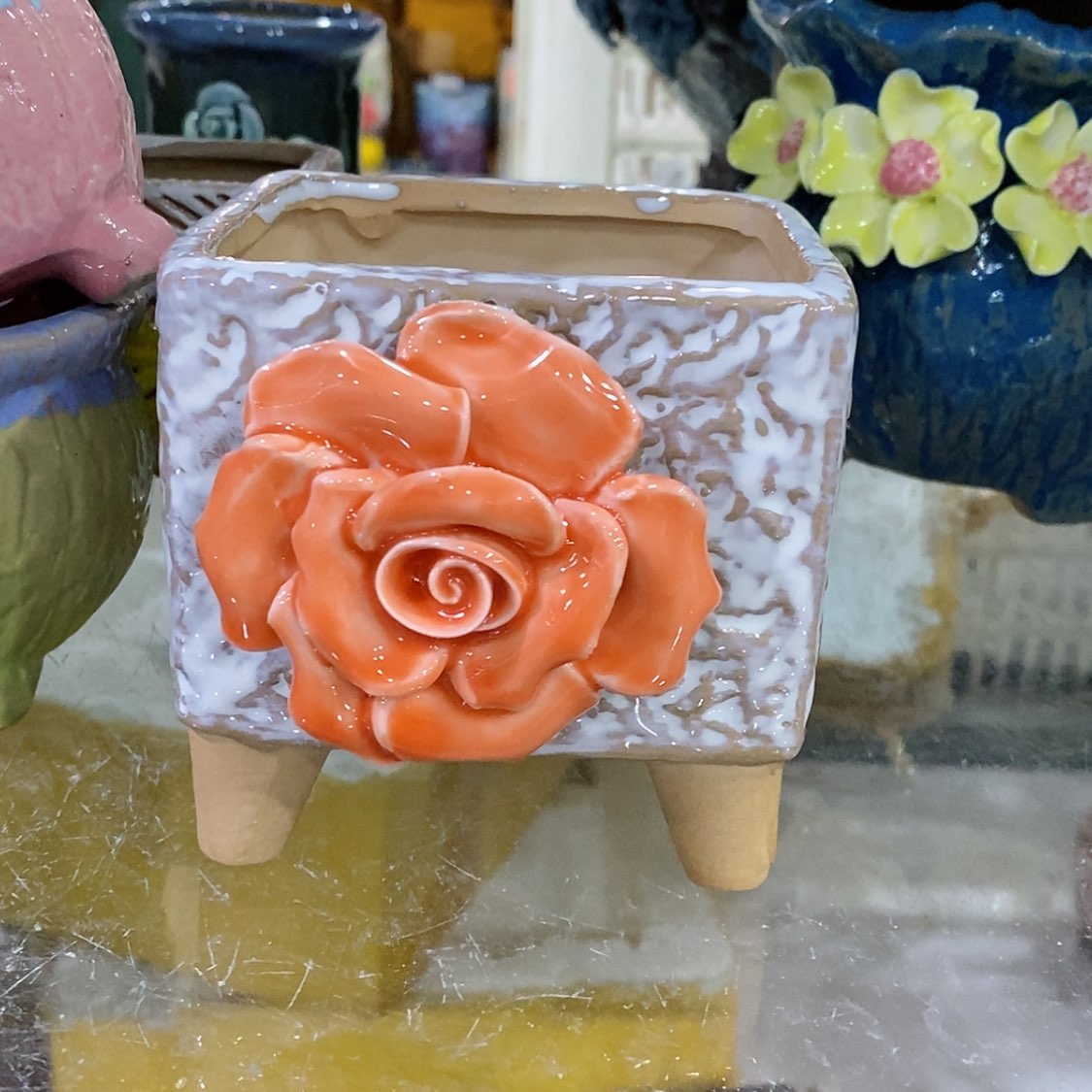 【闪购商品】红陶福利