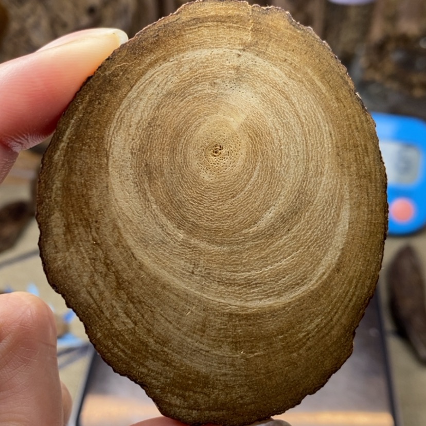 【闪购商品】沉香沉香碎屑马泥涝