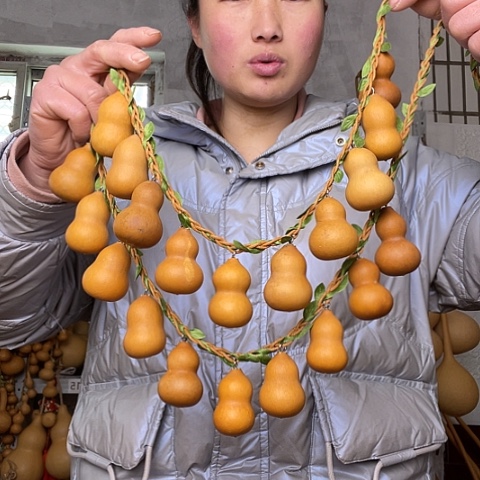 水***尧天然植物葫芦文玩