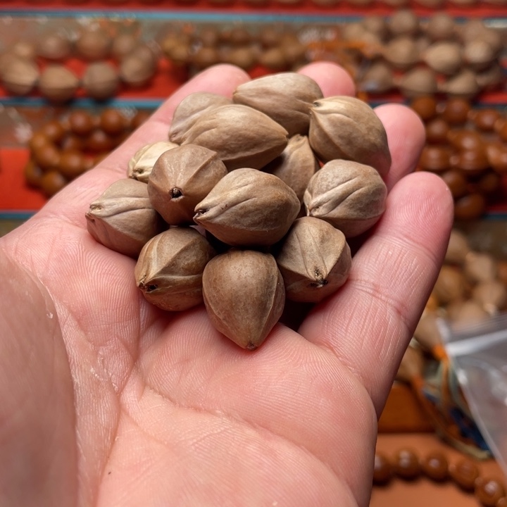 孤***峰手串/手链橄榄核16/23 直心铁核三面佛11颗