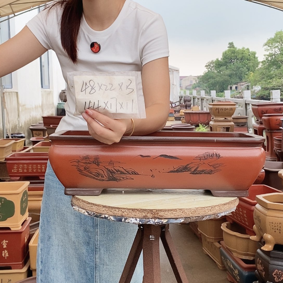 紫砂花盆紫砂花盆