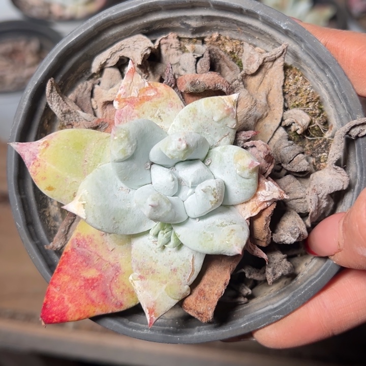 124哈哈哈哈哈哈哈哈哈