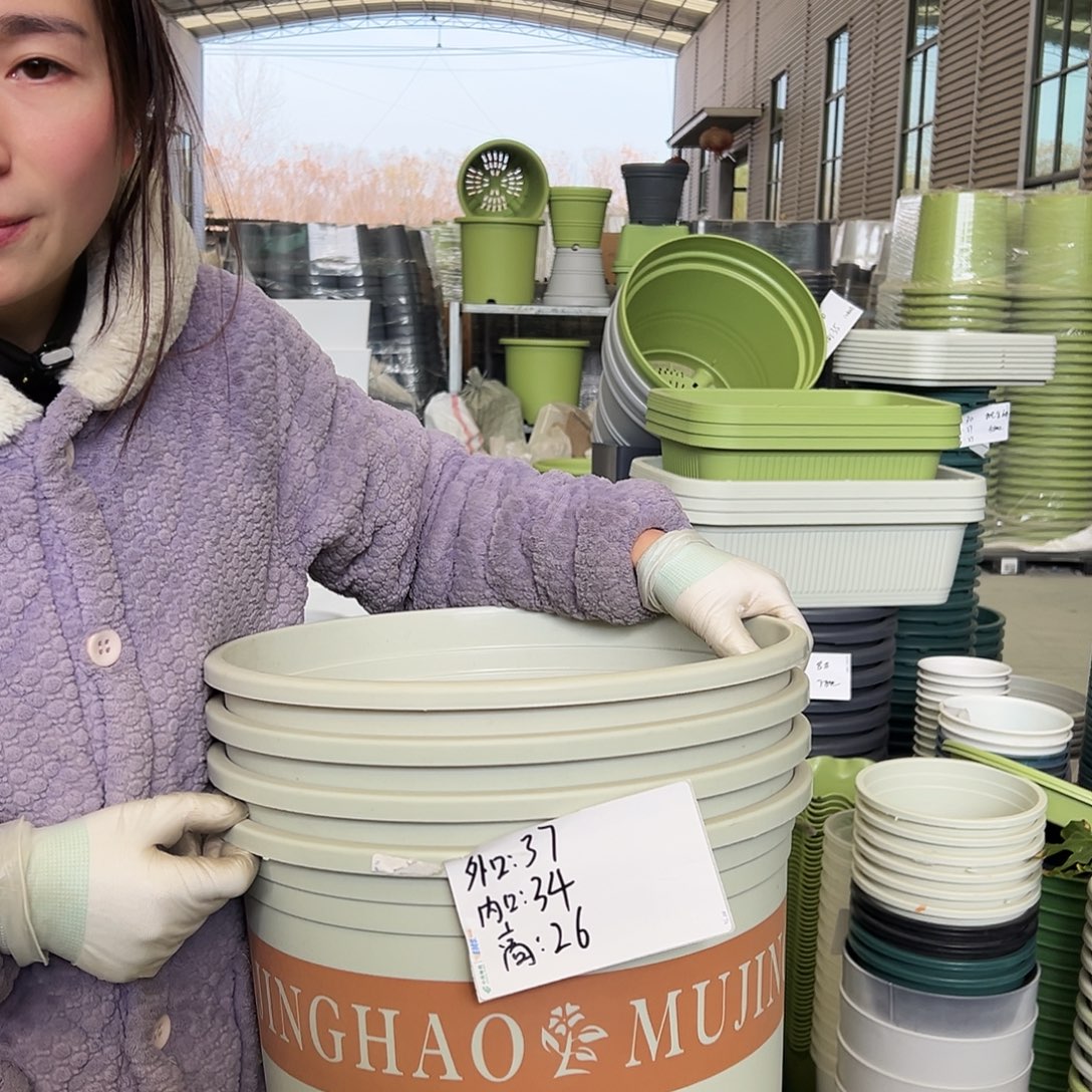 矮胖7#加仑米白4个无托