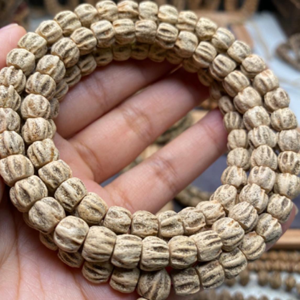 热振深坑龙脊鬼脸柏香