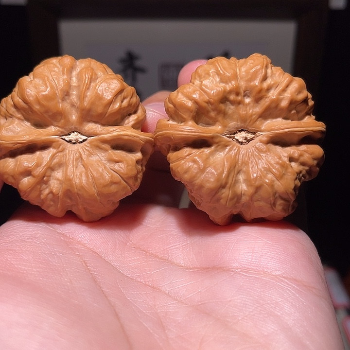 w***3核桃手串/手链蛤蟆头  