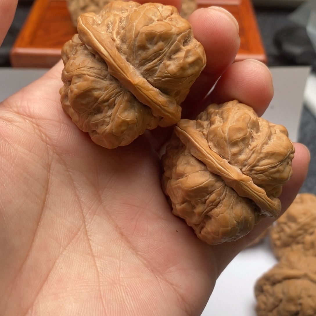 机***师好的我真的好喜欢这个节目就是