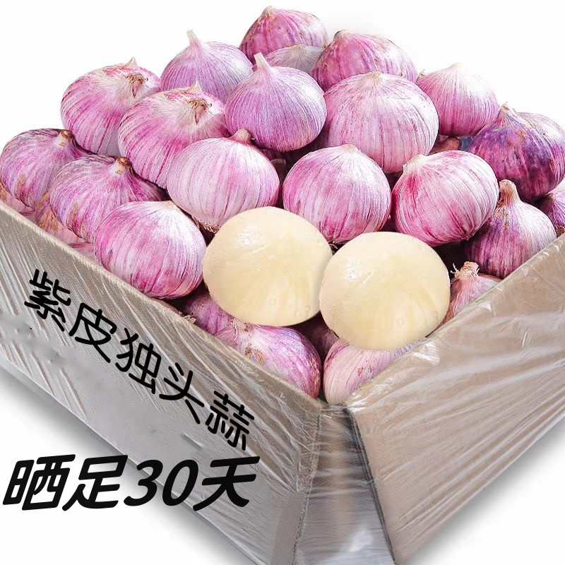 特大果独头蒜】紫皮独头干蒜独蒜珍珠蒜晒足30天易剥皮鲜辣提香