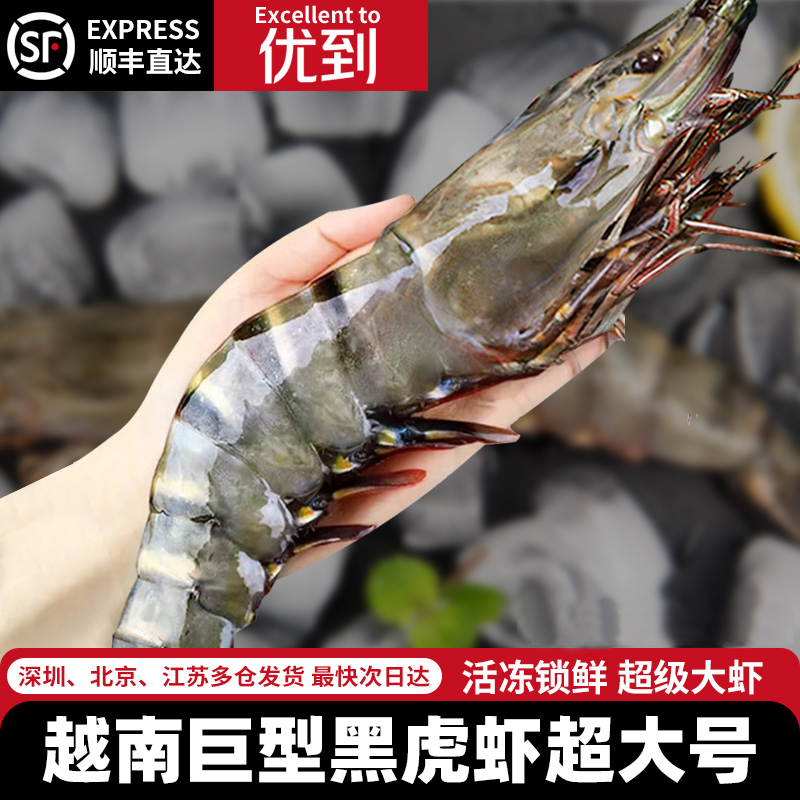 巨型黑虎虾越南黑虎虾超大黑虎虾鲜活冻新鲜泰国特大黑虎虾年夜饭
