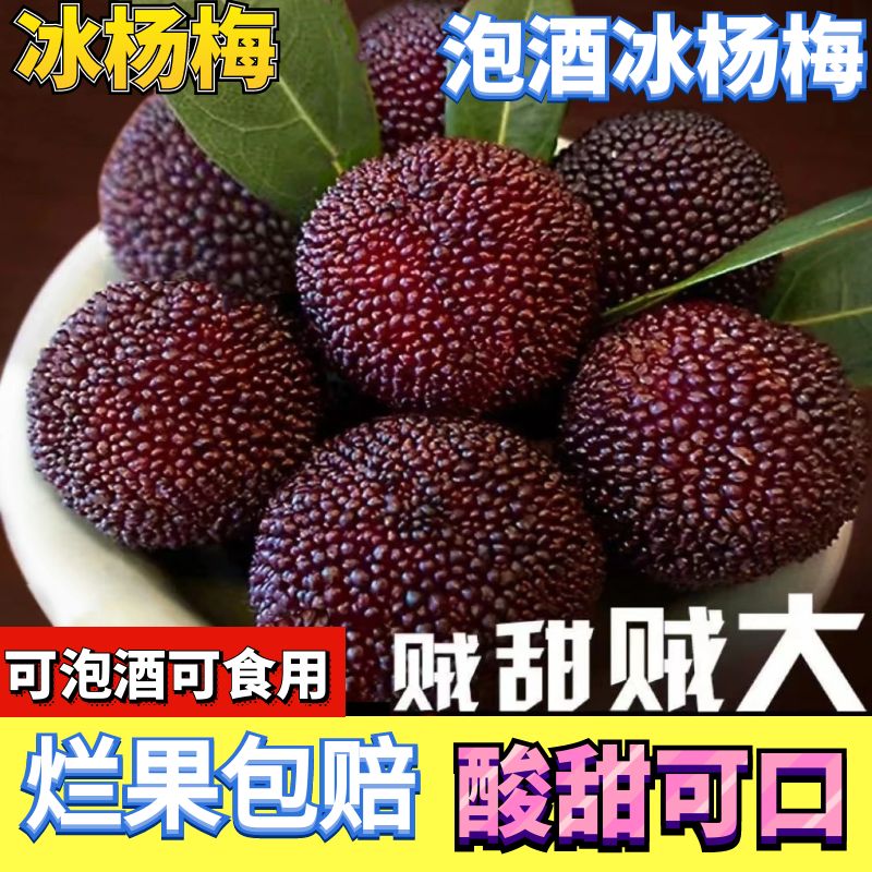 新鲜日期冰杨梅冷冻冰爽杨梅冰冻非仙居冰冻杨梅泡酒整箱冷链包邮