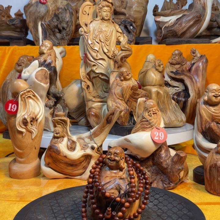 柏木（崖柏）正*崖柏  弥勒