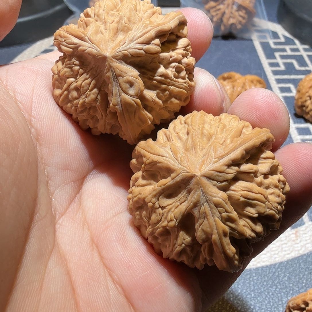 文玩核桃把件—**胡御龙
