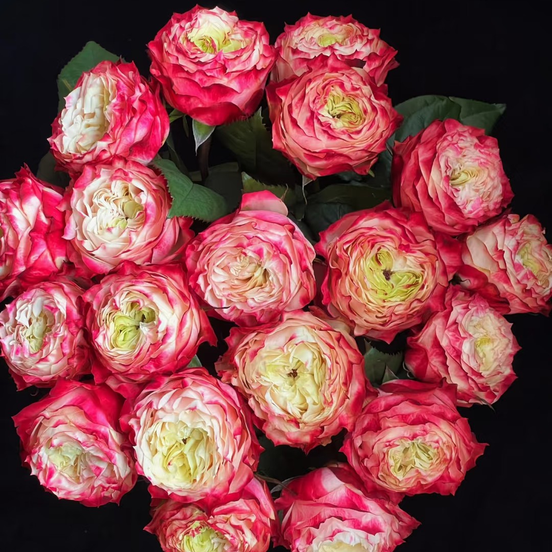 【云之卉】苹果杰克 基地现采现发 已发货不支持退换货