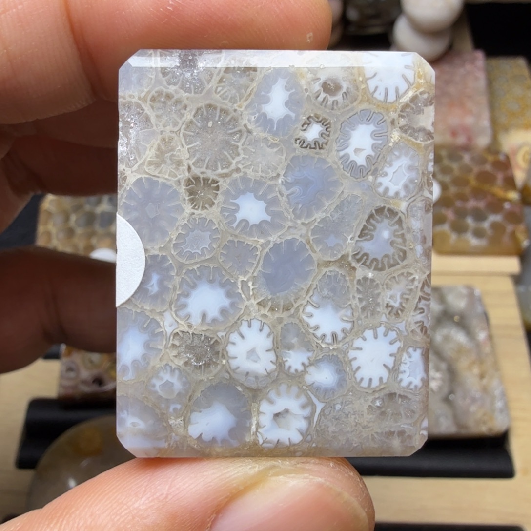 硅化玉未镶嵌纯天然色有机玉石保真色