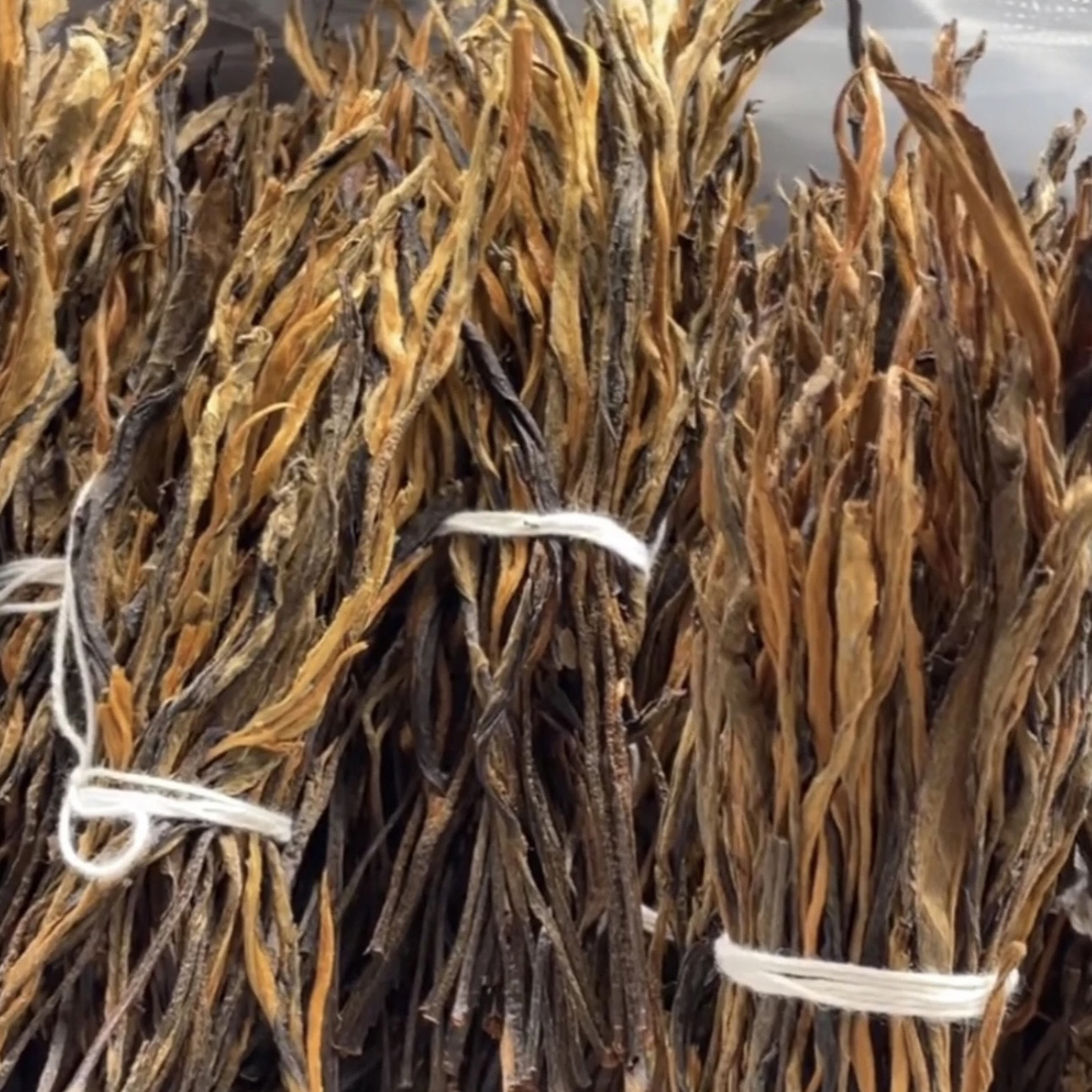 云南25年头春《晒红把把茶》