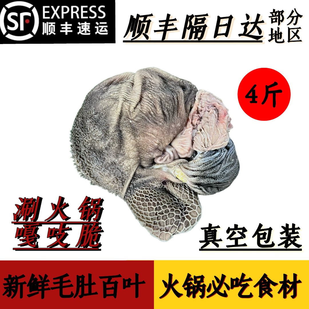 广西正宗黑山羊羊肚 3斤~4斤 新鲜火锅必吃食材 顺丰包邮