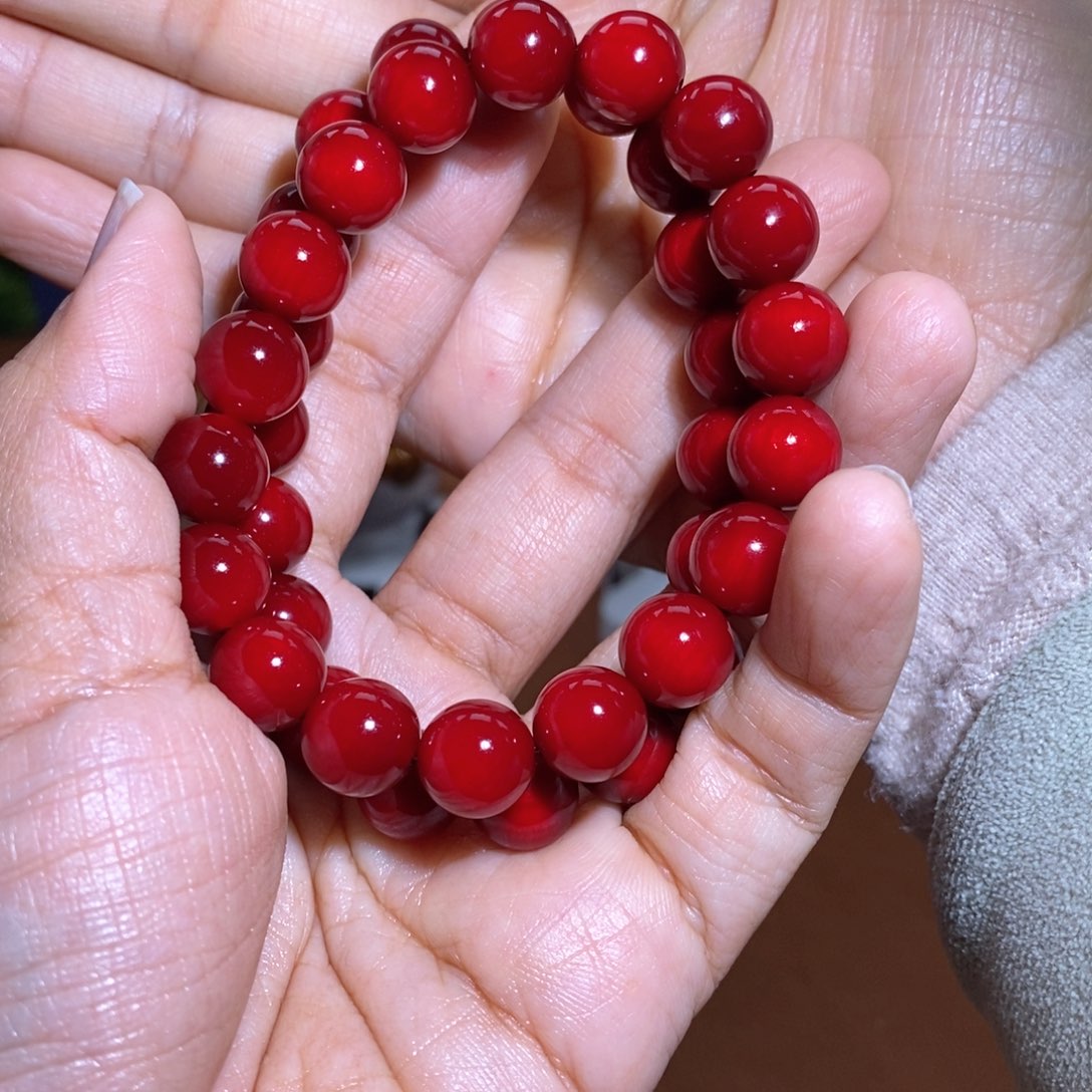 贝壳杉帝王血龙木2条1.0