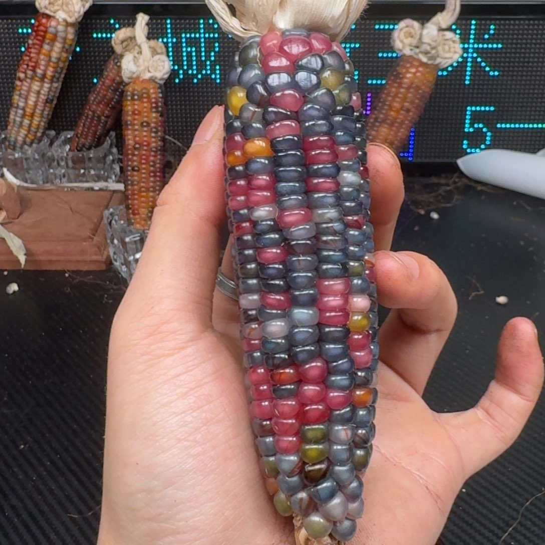 柏香籽/百香籽吊坠峰****）