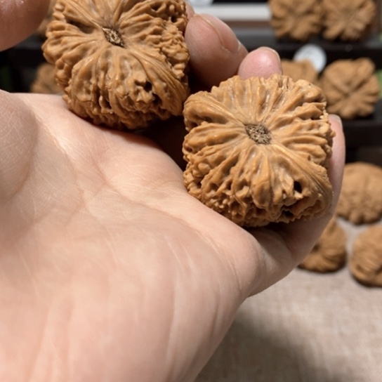 文玩核桃把件今天