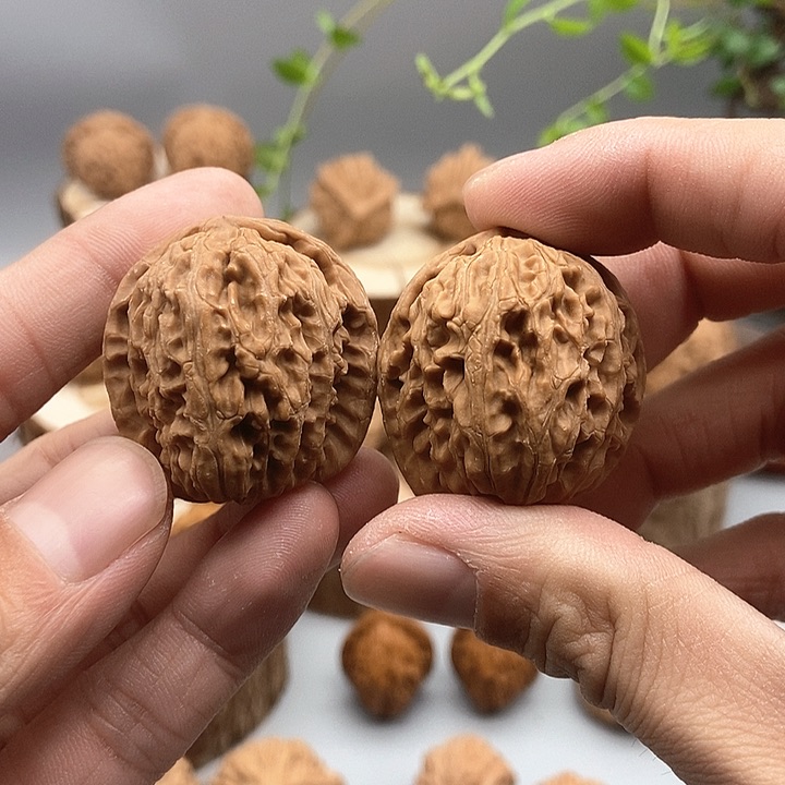 35尺全品白狮子福利款