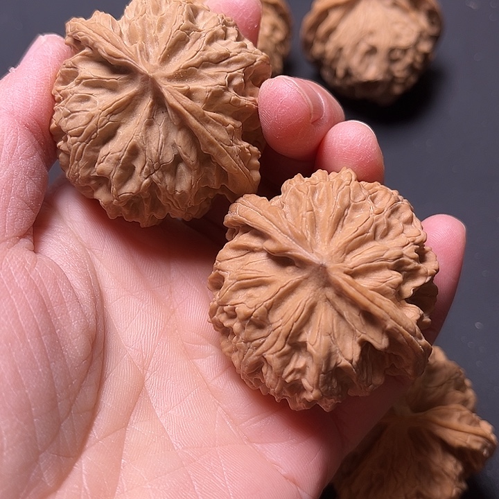 核桃苹果园45+全品白茶