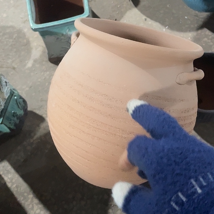 红陶正品20/24一个