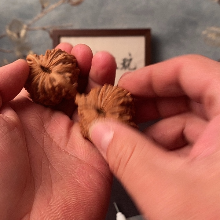 大叶紫檀（黑酸枝木类）11111111