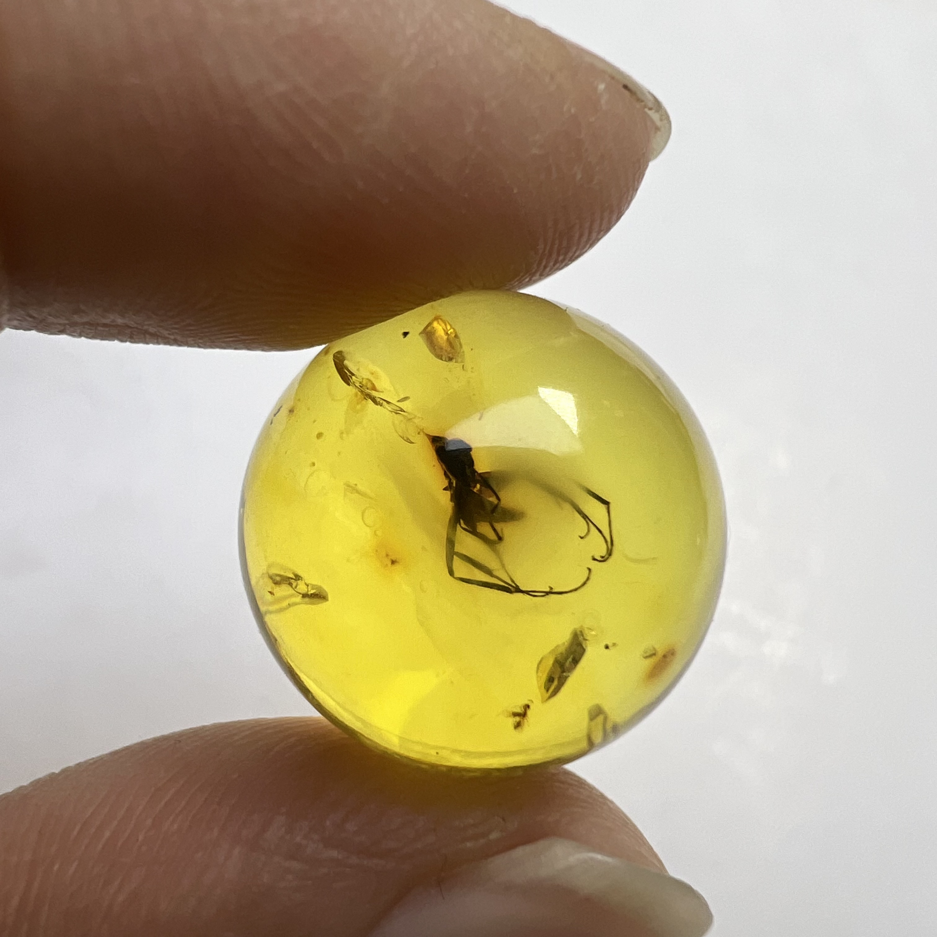 天然虫珀圆珠尺寸：17.9mm