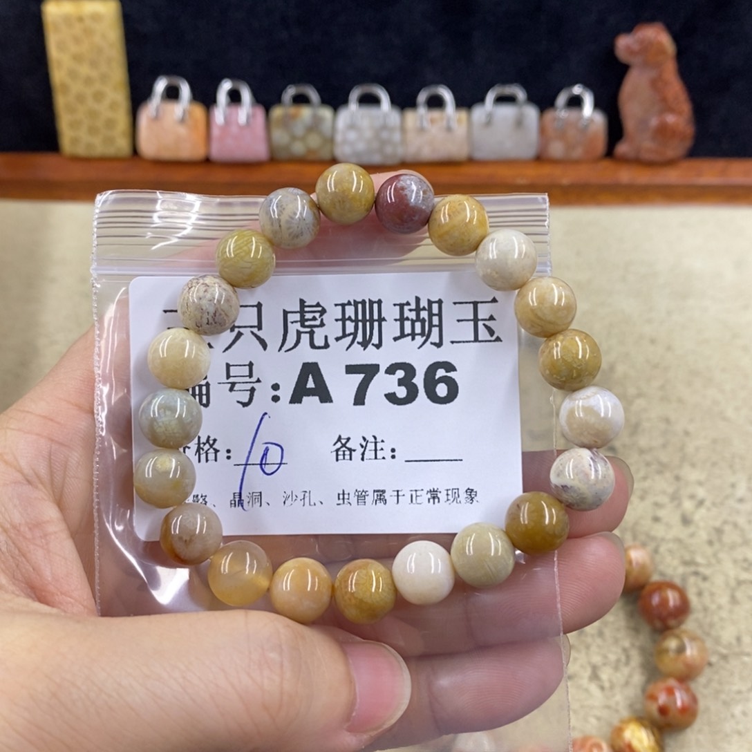 硅化珊瑚（珊瑚玉）1未镶嵌苏*颜