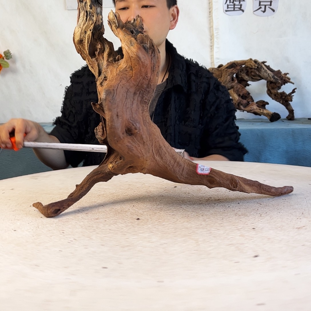 44.39.16 沉木造景爬宠造景