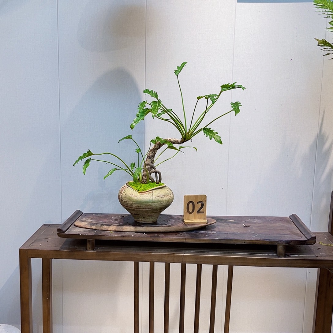 凌***上无花朵补差价50换2号小天使