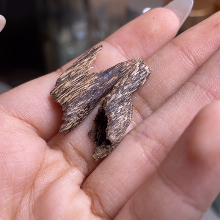 雷***沉香海南生结鸡母虫漏0.9克