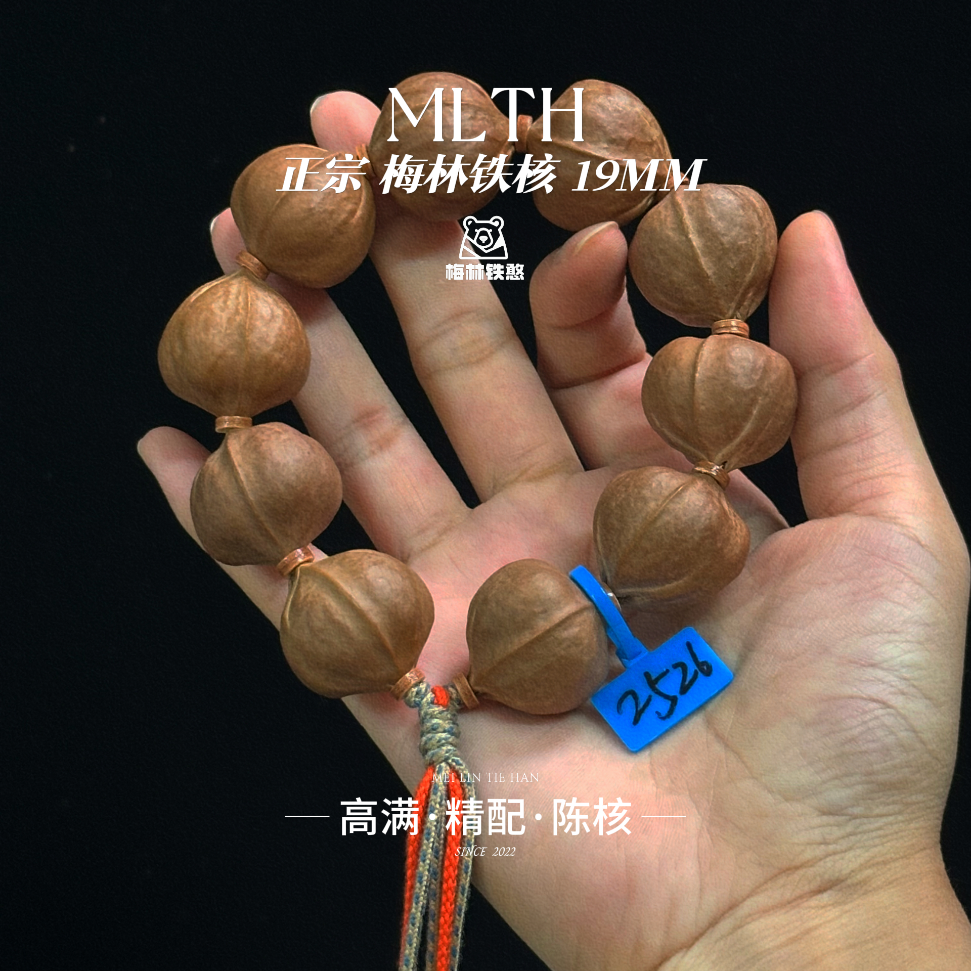 【熊实系列25MM】精配高饱满高密陈核·梅林铁核老树文玩铁核橄榄核