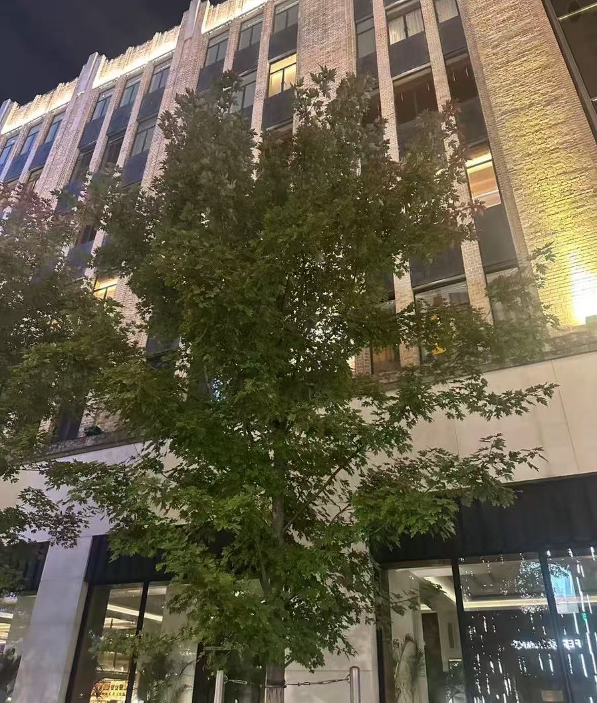 25年全新爆款防晒皮肤衣G